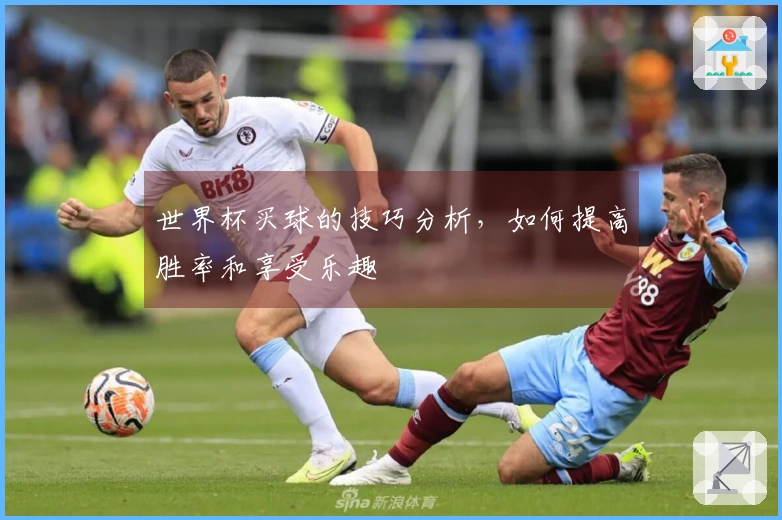 世界杯买球的技巧分析，如何提高胜率和享受乐趣