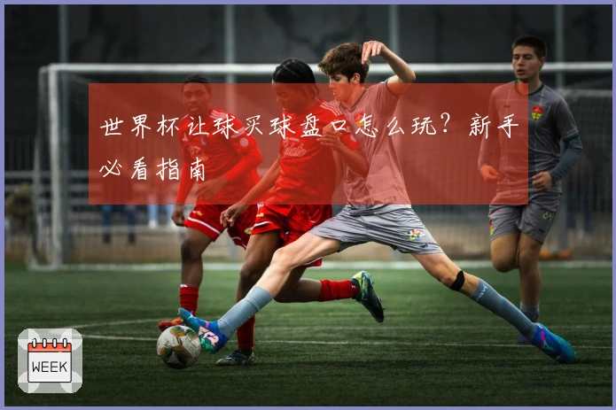 世界杯让球买球盘口怎么玩？新手必看指南