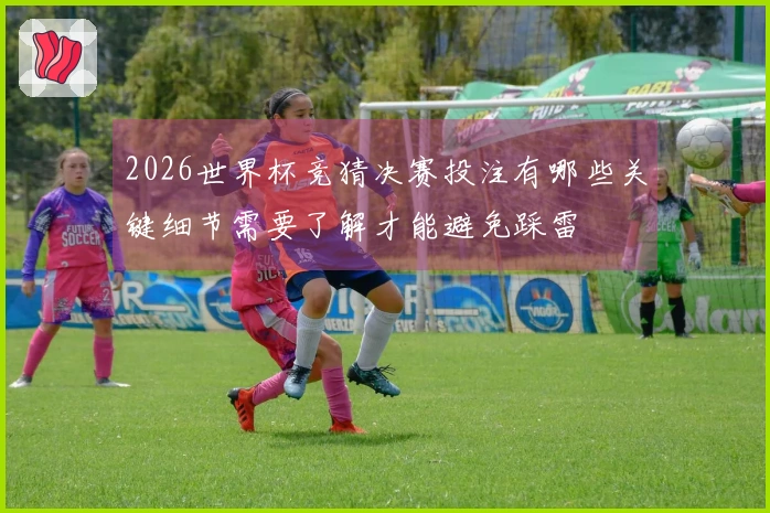 2026世界杯竞猜决赛投注有哪些关键细节需要了解才能避免踩雷