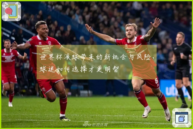 世界杯滚球带来的新机会与风险，球迷如何选择才更明智