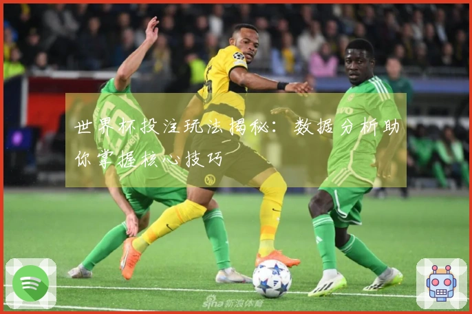 世界杯投注玩法揭秘：数据分析助你掌握核心技巧
