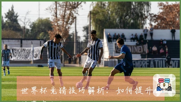 世界杯竞猜技巧解析：如何提升你的赢率秘诀