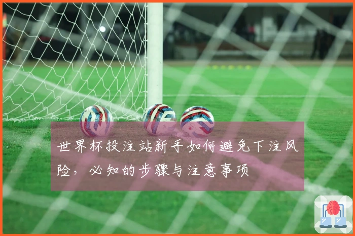 世界杯投注站新手如何避免下注风险，必知的步骤与注意事项