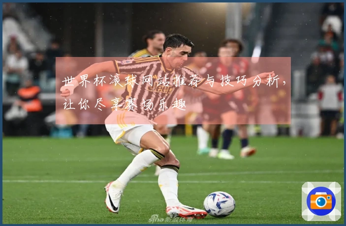 世界杯滚球网站推荐与技巧分析，让你尽享赛场乐趣