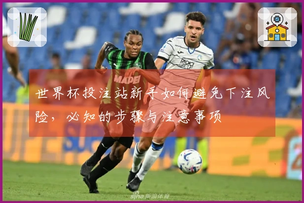 世界杯投注站新手如何避免下注风险，必知的步骤与注意事项